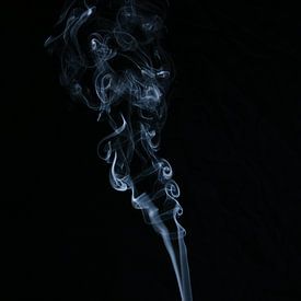 Curly Smoke in Black and White van Karin de Boer Photography