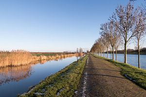 Winterochtend langs het Amsterdam-Rijnkanaal