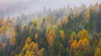 Herbst in den Dolomiten, Italien von Henk Meijer Photography Miniaturansicht