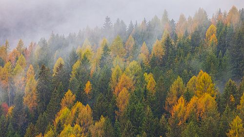 Herfst in de Dolomieten, Italië