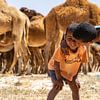 Brothers in desert with camels (Tunisia) by Jessica Lokker