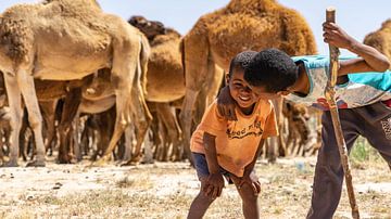 Broers in woestijn met kamelen (Tunesië)