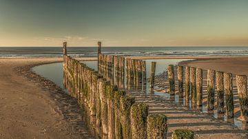 groynes at domburg by anne droogsma