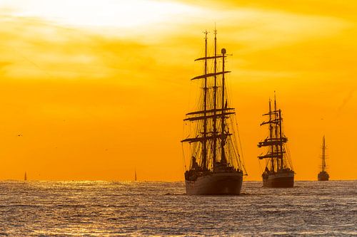 Sail Amsterdam / IJmuiden sail out 2025 at sunset