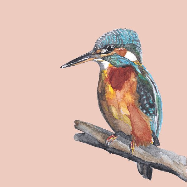 Kingfisher by Dune designs