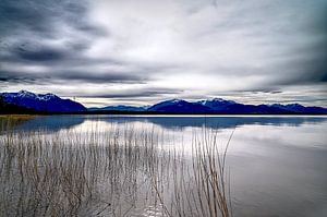 blue Mountain V