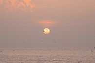 Sunset by the sea by Ellen Metz thumbnail