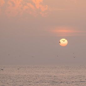 Sunset by the sea by Ellen Metz