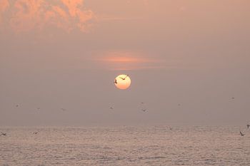 Sonnenuntergang am Meer