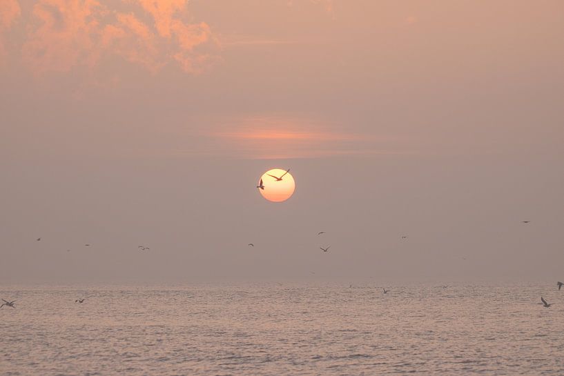 Sunset by the sea by Ellen Metz
