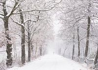 De Narnia wandeling: verloren in sneeuw en tijd