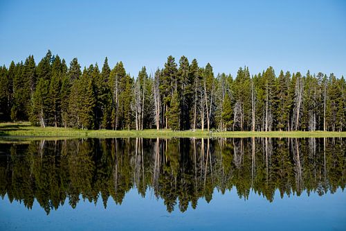 Yellowstone, USA, meer