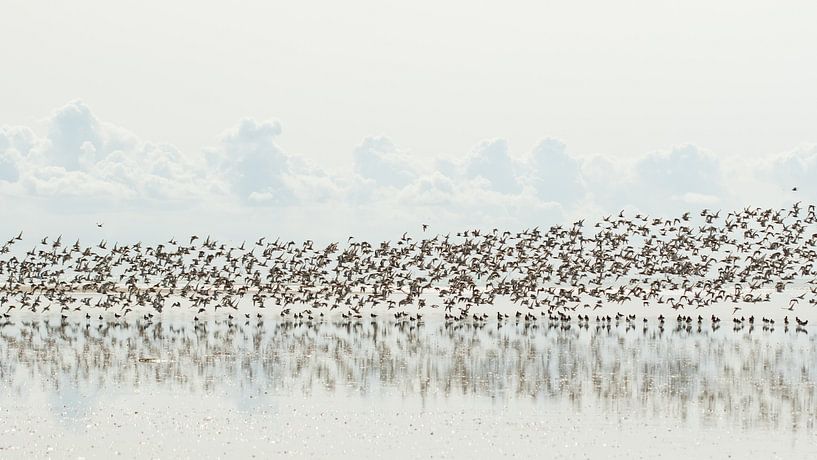 Vogeltrek par Art Wittingen