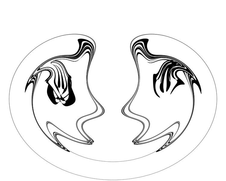 black and white abstract digital art, round shape by Naomi van Mierlo
