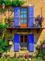 Summer Colours