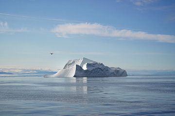 Groenlandse ijsberg van Elisa in Iceland