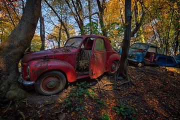 Abandoned cars in a forest by Carola Schellekens