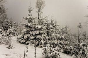 Großer Feldberg