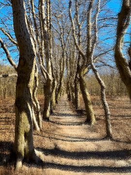 246. Landgoed Beerschoten