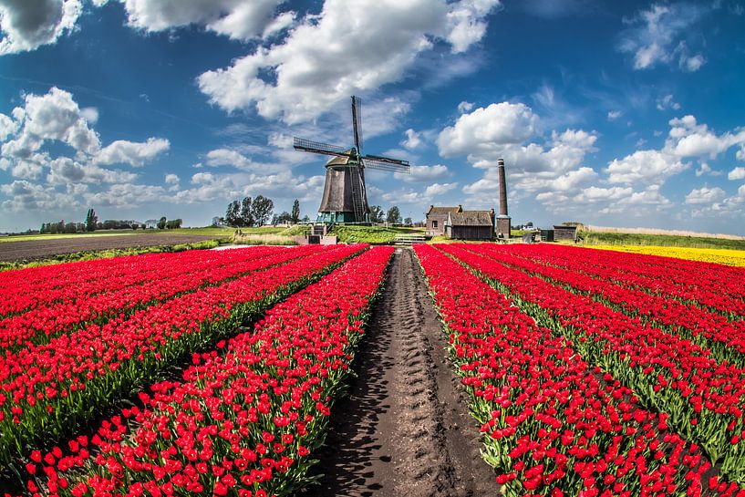 Hollands plaatje by peterheinspictures
