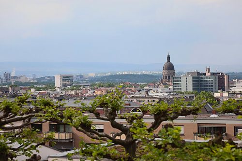 Het uitzicht op de daken van Mainz vanaf de Kästrich