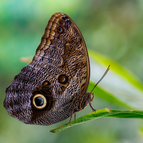 Costa Rica – where nature, adventure and pure beauty come together