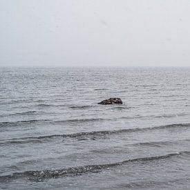 Felsbrocken in der Barentssee von Timo Bergenhenegouwen
