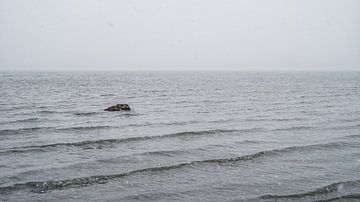 Felsbrocken in der Barentssee von Timo Bergenhenegouwen