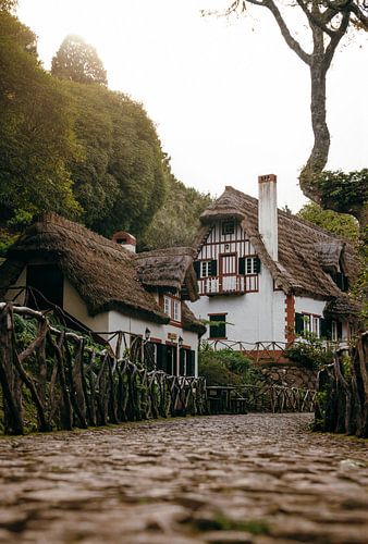 Enchanting Cottage in Madeira