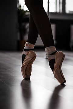 Ballet van MJB Photography