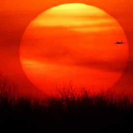 Coucher de soleil avec un avion qui passe sur El'amour Fotografie