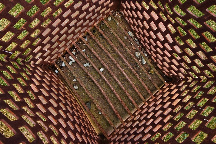 Just nice for a photo by Natuurpracht   Kees Doornenbal