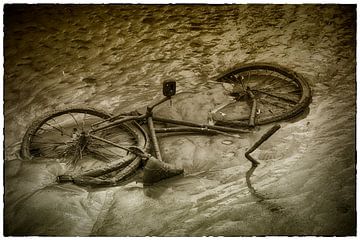 oude fiets in haven