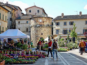 Flower and Plant Festival Cetona by Dorothy Berry-Lound