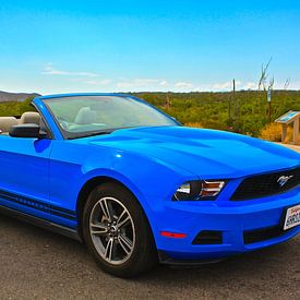 Ford Mustang van Menno Heijboer