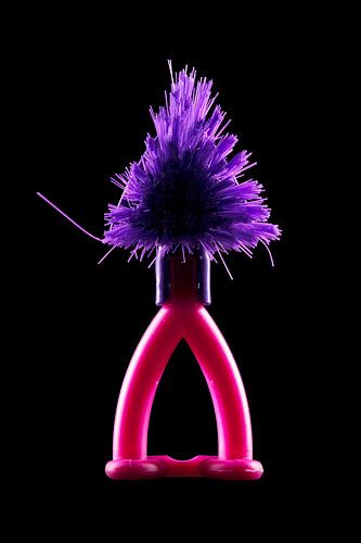 Dishwashing brush Bon Homme