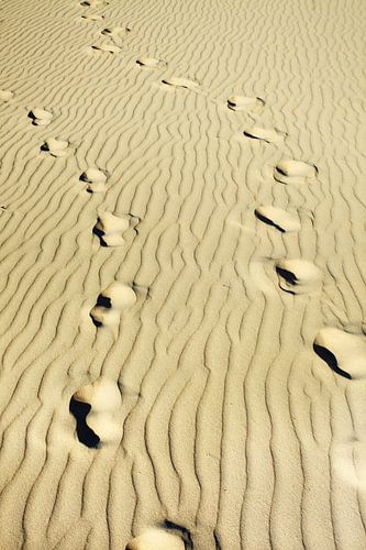 Footmarks on an empty wrinkled beach on a sunny day
