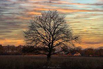bunter Winter