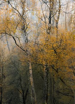 Planken Wambuis part 163 by Tania Perneel