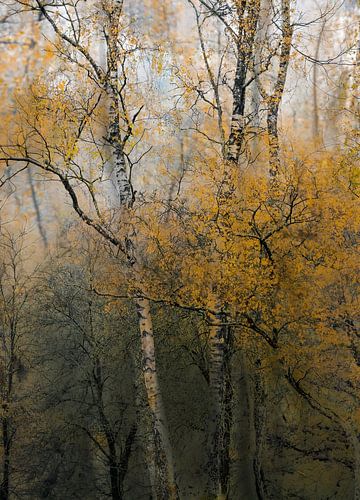 Planken Wambuis part 163