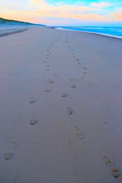 Voetstappen van een koppel in het zand op het strand van Studio LE-gals