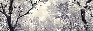 Monochrome Natur