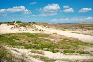 Réserve naturelle De Slufter sur l'île de Texel