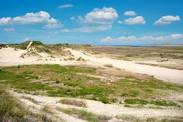 Naturschutzgebiet De Slufter auf der Insel Texel von Reiner Würz / RWFotoArt