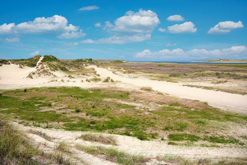 Naturschutzgebiet De Slufter auf der Insel Texel von Reiner Würz / RWFotoArt