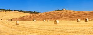 Toskana-Panorama