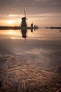 Sonnenaufgang Kinderdijk von Halma Fotografie