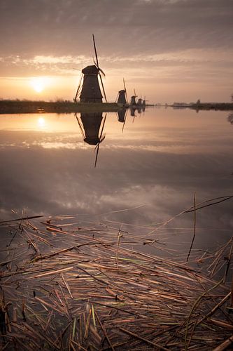Zonsopkomst Kinderdijk