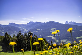Ausblick von Julia Fritsche