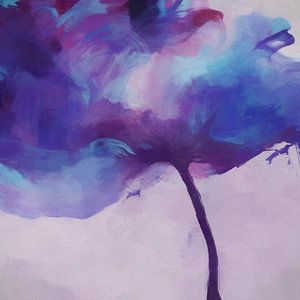 Violette Tulpe